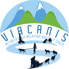 Viacanis, activités avec les chiens - Ariège, Pyrénées